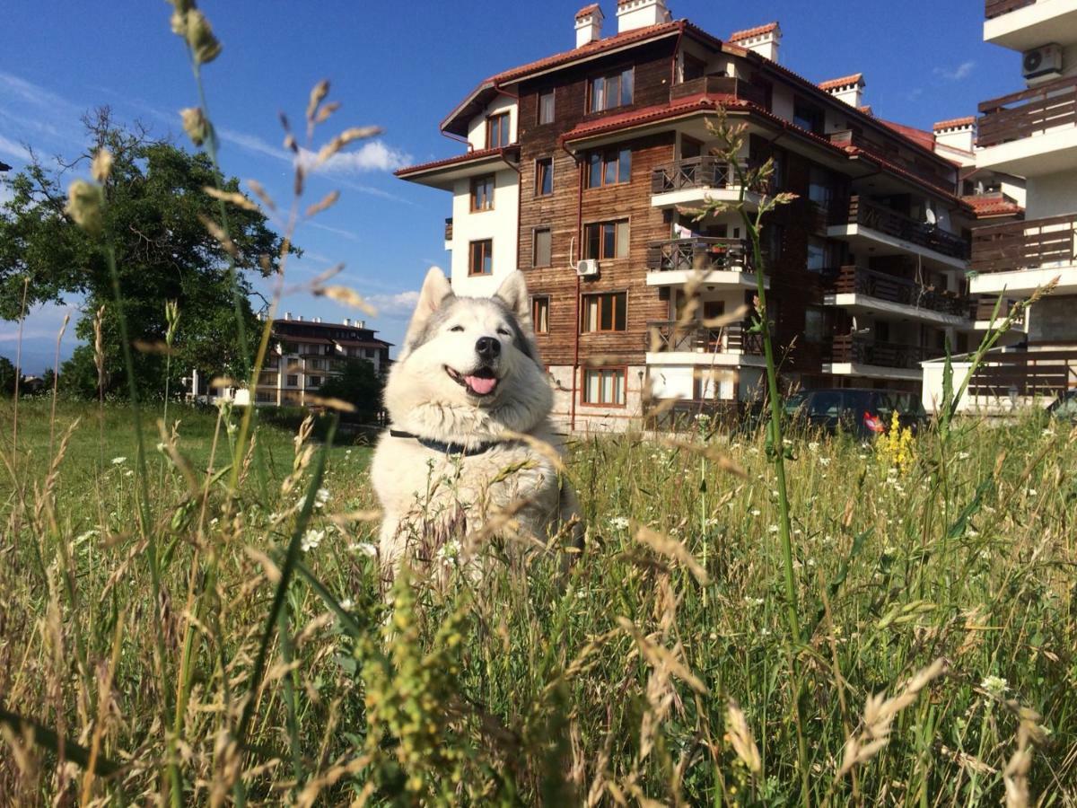 Apartments Four Leaf Clover Bansko To Rent Buitenkant foto