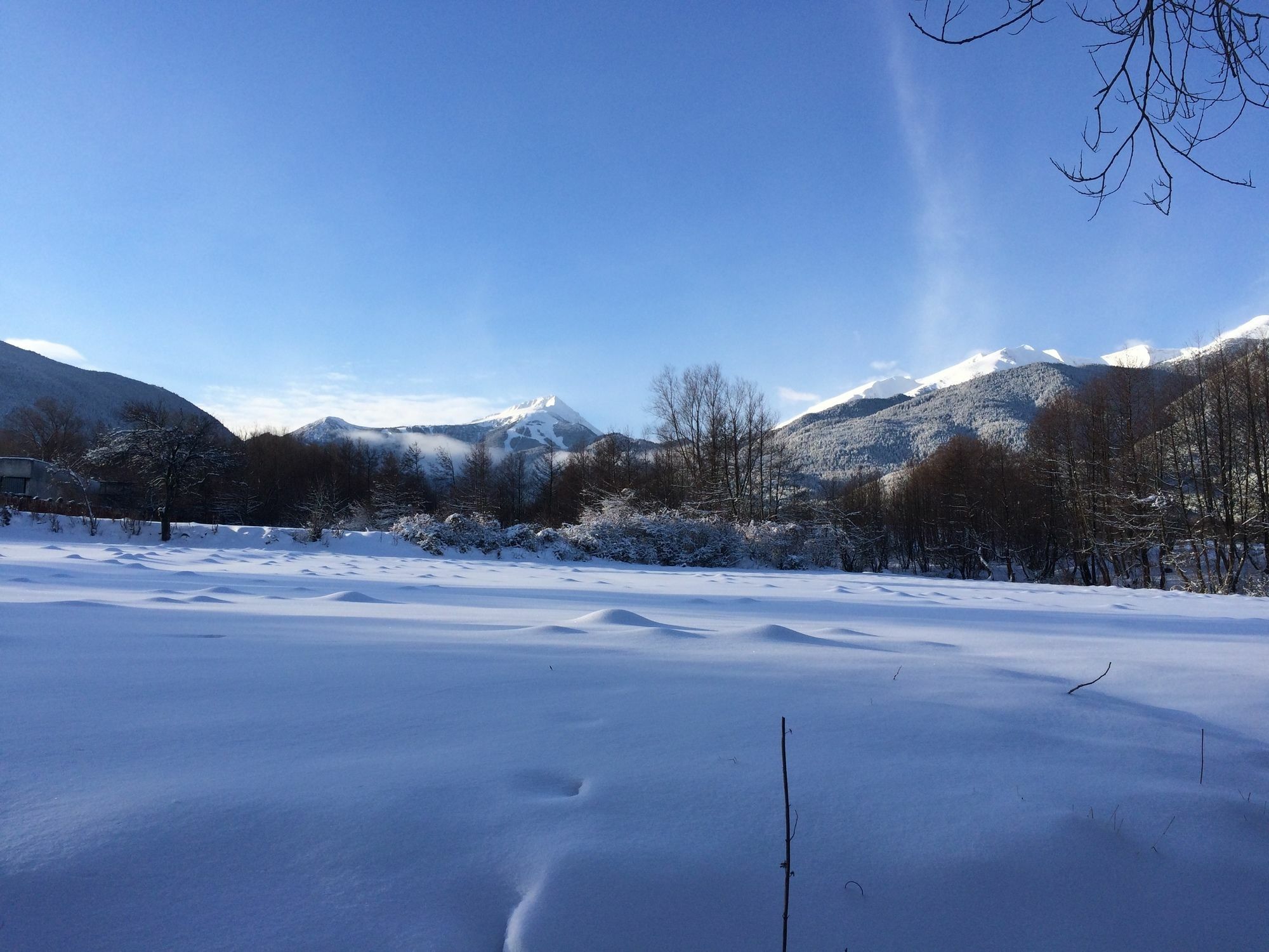 Apartments Four Leaf Clover Bansko To Rent Buitenkant foto