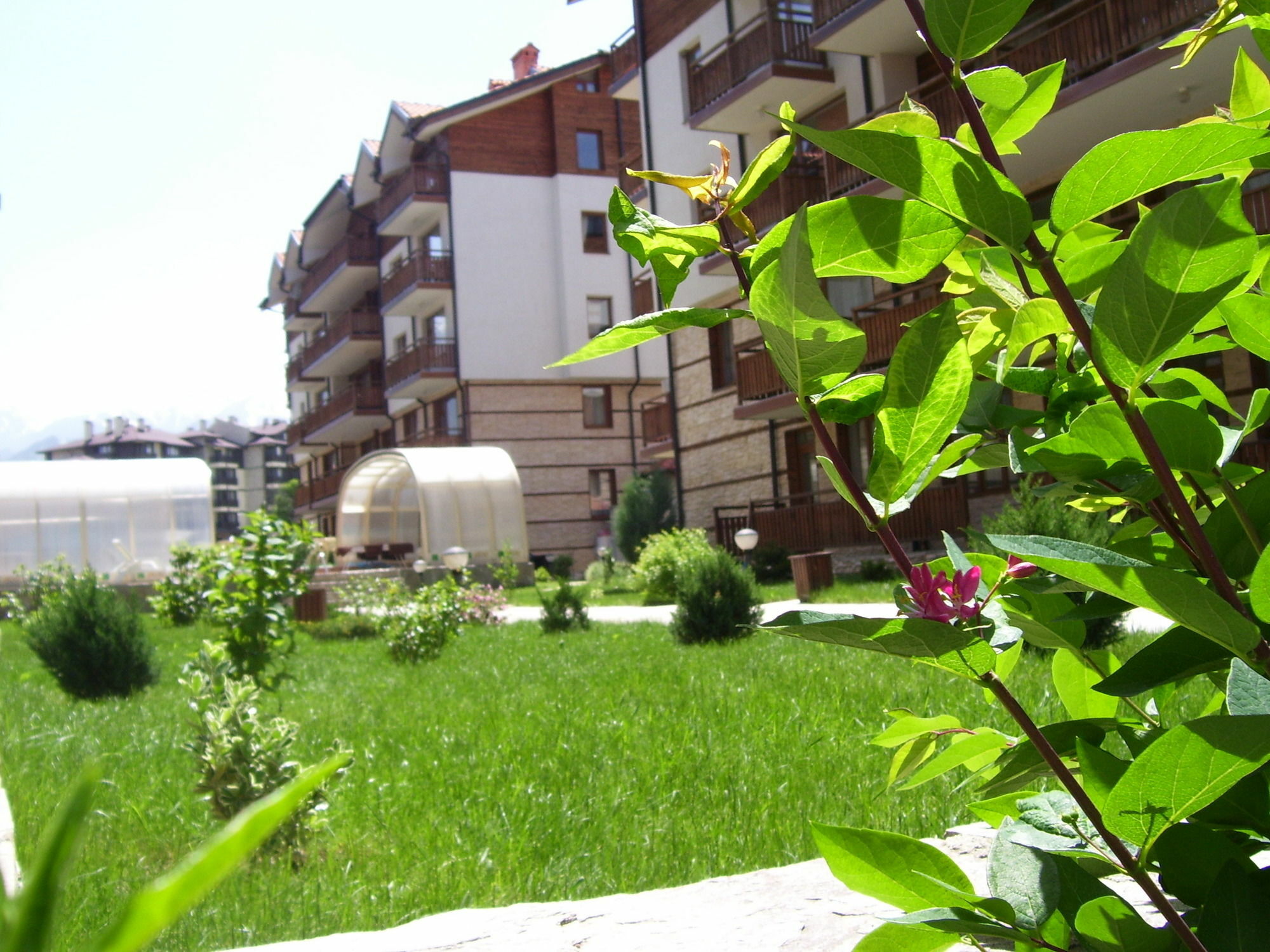 Apartments Four Leaf Clover Bansko To Rent Buitenkant foto